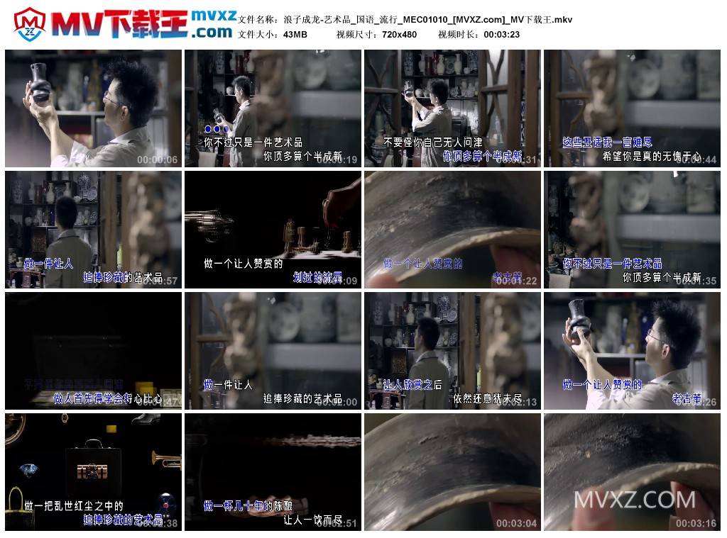 浪子成龙-艺术品_国语_流行_MEC01010